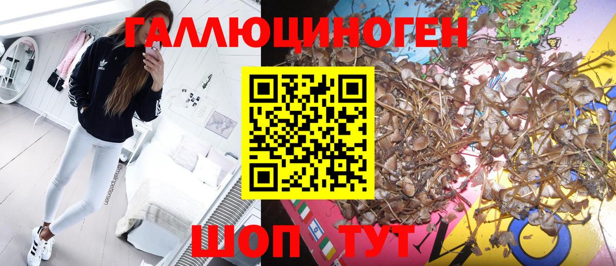 Махачкала  Псилоцибиновые грибы Magic Shrooms  Вход с VPN 